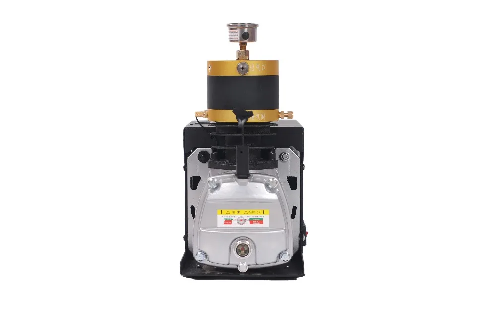 300BAR 4500PSI Adjustable pressure High Pressure Air Pump Portable Electric Air Compressor for Airgun Scuba Rifle PCP Inflator