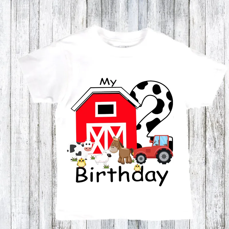Country Rustic Barnyard Farm Animals Themed 1st 2nd 1 2 First Second One Two Year Old Boy Girl Happy Birthday Decoration Gift