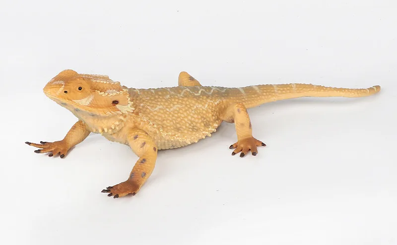 Lizard Chameleon Crawling Animal Model Wild Animal Model Solid Static CHILDREN'S Toy Decoration