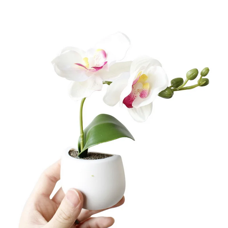 IVYSHION наклейки на холодильник имитация букета цветок суккуленты на растения или холодильник магнит магнитный Горшечное растение для украшения стен дома - Цвет: Phalaenopsis