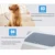 Pet Dog Diaper Моча Pad Одноразовый Герметичный Дезодорант Абсорбент Подгузник Водонепроницаемый Pet Training Pee Pads for Dog Cat Pets Diaper