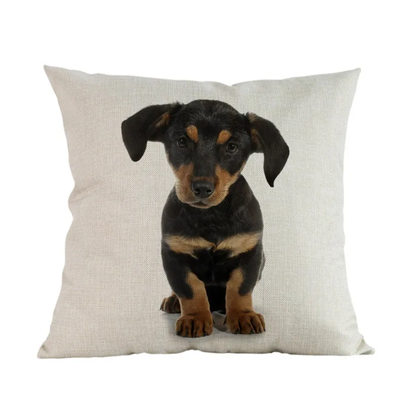 Cute-Puppy-Animal-Pet-Breed-Dogs-Dachshund-Corgi-Pomeranian-Shepherd-Labrador-Bulldog-Pillow-Case-Home-Shop.jpg_640x640 (22)