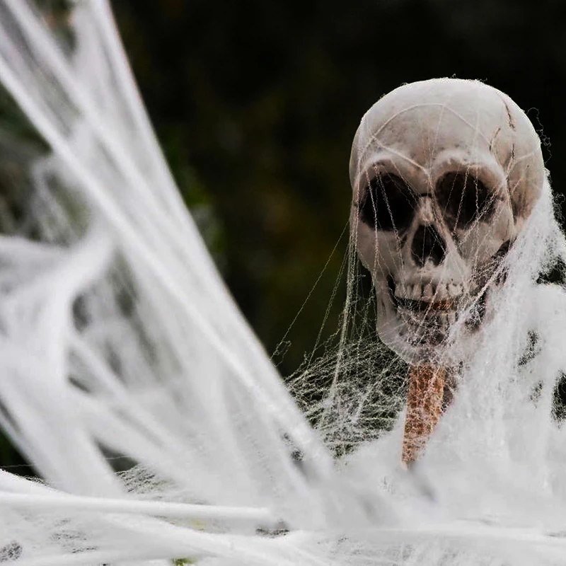 Cosplay&ware Halloween Scary Party Scene White Stretchy Cobweb Spider Web Horror Decoration Bar Haunted -Cosplayware Store H61f7fcecd4804641a382752690a7f4b3W.jpg