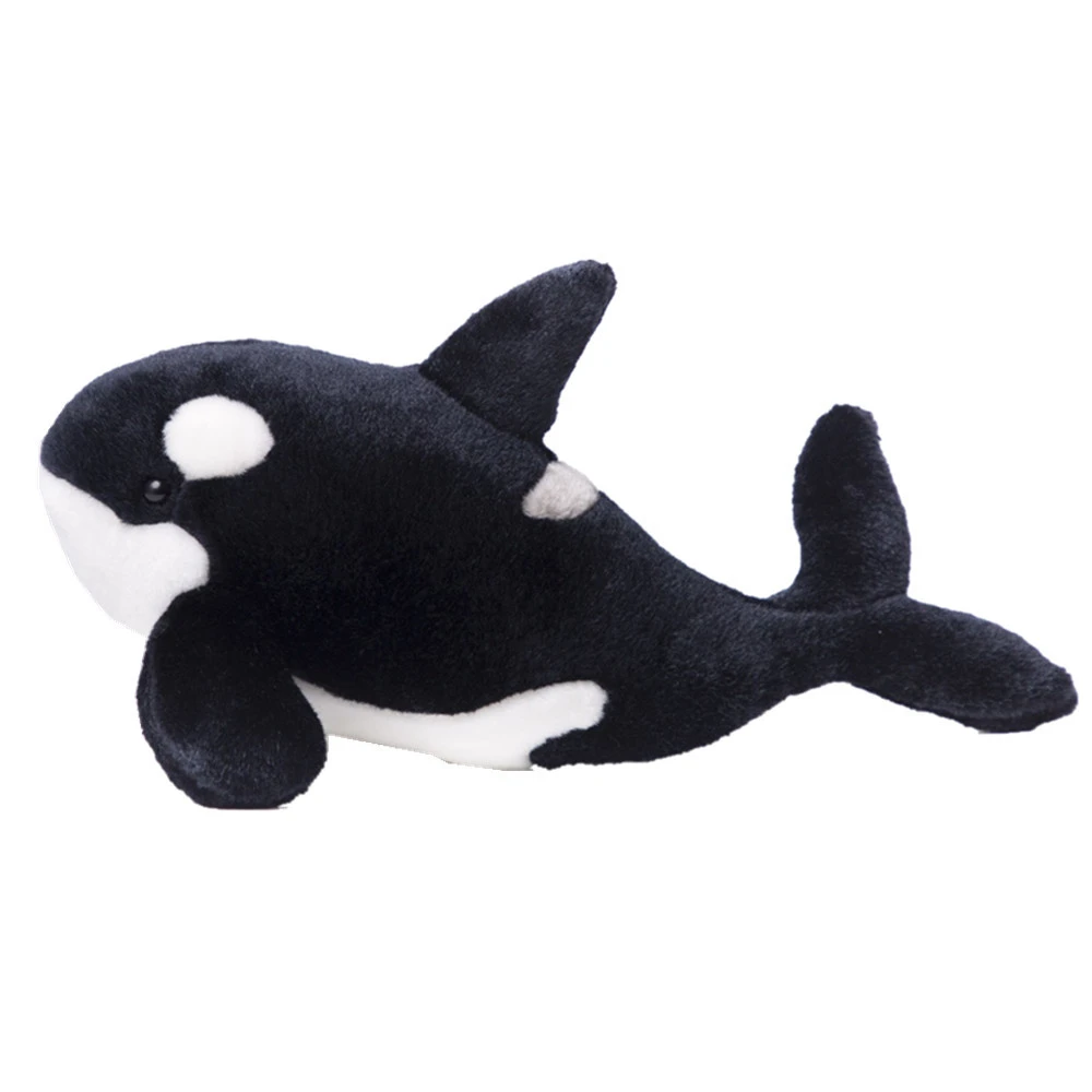 killer whale teddy