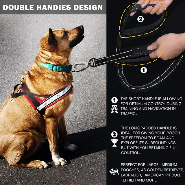 Benepaw Quality Strong Bungee Dog Leash Reflective Comfortable 2 Padded Handle Shock Absorbing Pet Leash For Medium Large Dogs 2