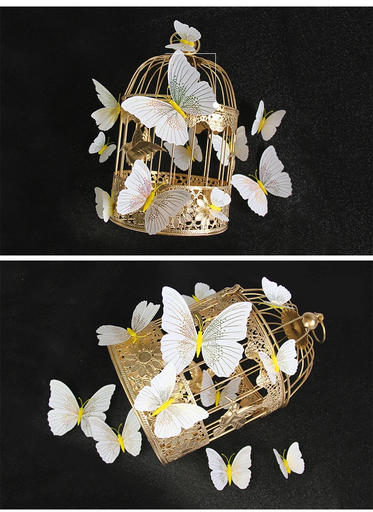 10579193129_1579242692