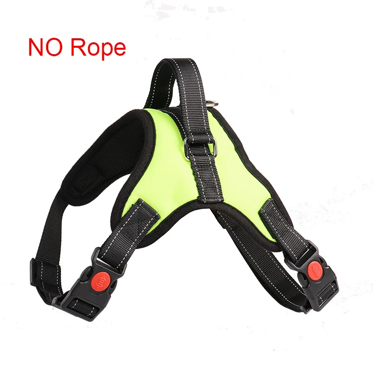 12380276782_1648768732