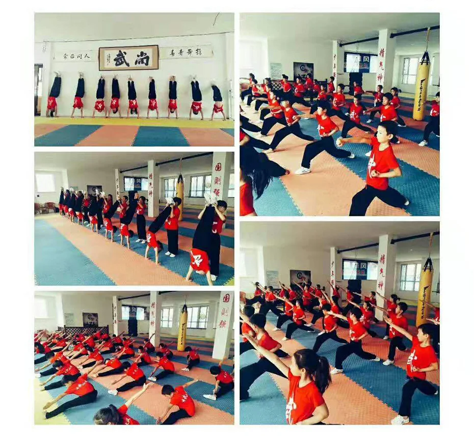 impicture_276942020b3ad8a5d9aca60e4dd7a844