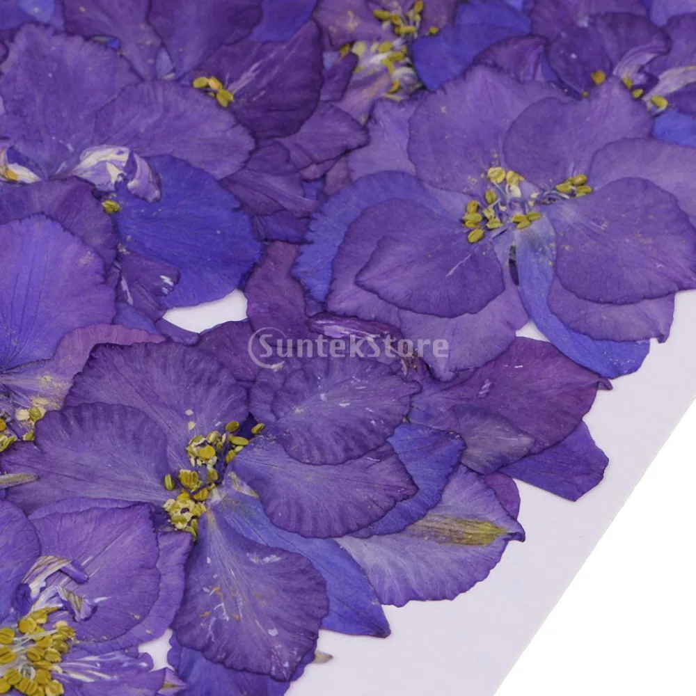 suntekstore1532399209_59001798_10_image