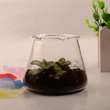 

8*8.3cm Glass Terrarium Vase Fleshier Plant Bottle Diameter=8cm Height=8.3cm Microscape Hydroponic Plants Wedding Decoration