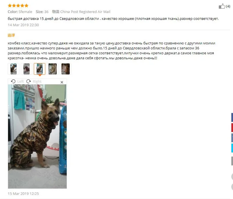 QQ截图20190420200710