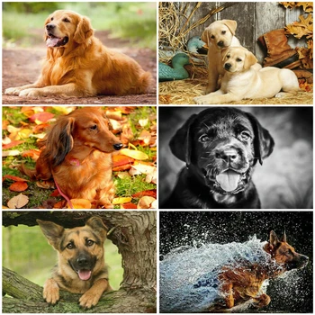 

MomoArt Diamond Painting Cross Stitch Dog Picture Of Rhinestones Diamond Embroidery Sale Full Square Animal Wall Art