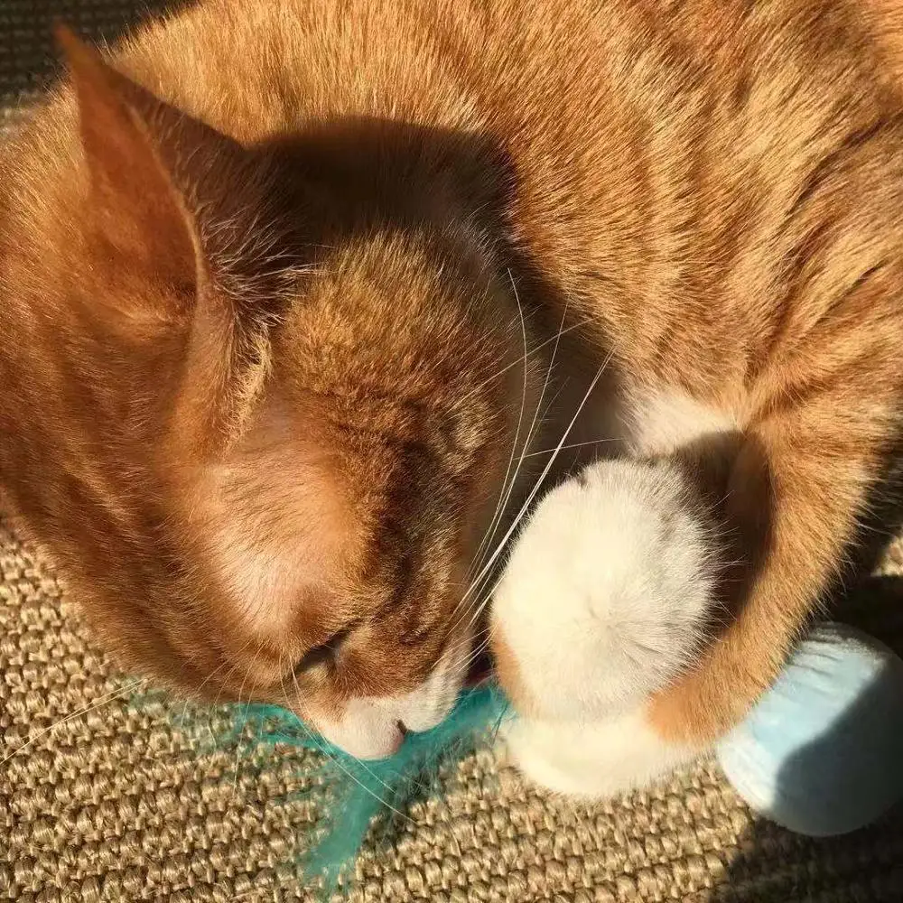 Chaton Catnip Hoopet интерактивная игрушка для кошек туннель товары для животных товары для собак Petshop игрушки для кошек