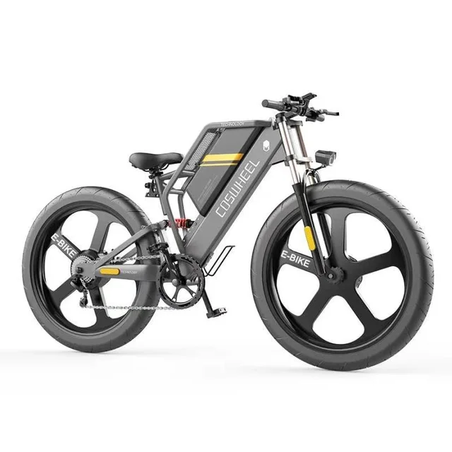 Electric Bike E bike 