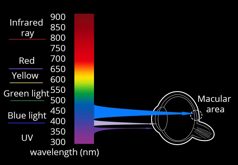 Анти-синий луч светильник Блокировка UV400 компьютерные очки геймер фотохромные солнцезащитные очки для мужчин и женщин Хамелеон линзы оправы для очков