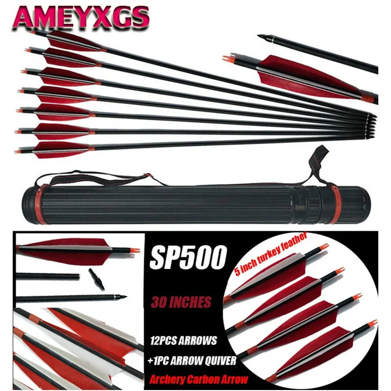 12pcs 30'' Archery Carbon Arrows Hunting Broadheads 100 grain Quiver Bow Target 