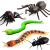 Infrared RC Remote Control Animal Toy Kit for Kids Adults Smart Cockroach Spider Snake Ant Prank Jokes Radio Insect for Boys ► Photo 3/6