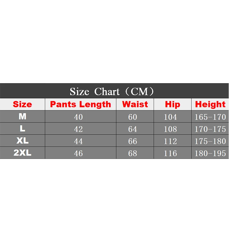 Stripe Men Swimwear Shorts Quick-drying Swimming Suits For Men Fashion Beach Short Board Surf Breathable Printing Bathing Suit