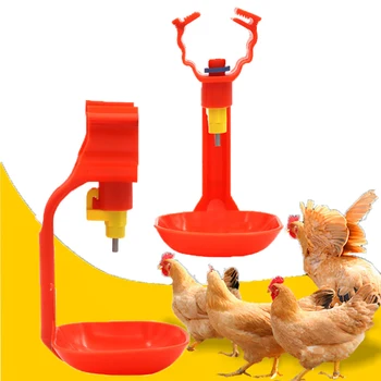 

30/50 Pcs 3/4" Chicken Hanging Cup Automatic Nipple Drinkers Square Pipe Waterer Bird Quail Pigeon Drinking Cup Poultry Drinking