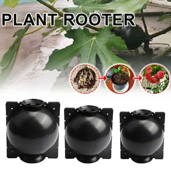 

2pcs Plant Root Growing Box Grafting Root Growth Cultivation Box High Pressure Box Cutting Grafting Rooting Garden Supplies