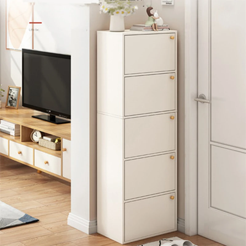 Constitution Copieux Entouré meuble a chaussure vertical Cible zone