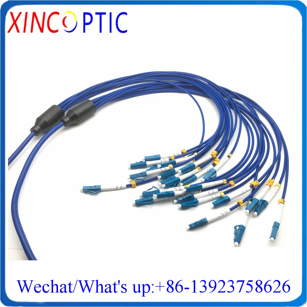 

30Mtr 12-жильный одномодовый CRIP FTTA 12C LC-ST/FC/ST/SC SM ПВХ Синяя оболочка 12F 30 м бронированный волоконно-оптический соединительный шнур Кабельный разъем