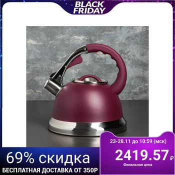 

Whistling kettle 3 L "Puerto", induction, purple