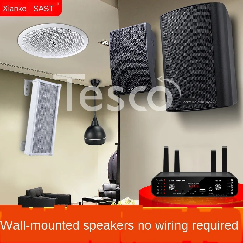 Wall-mounted audio bluetooth speaker wireless commercial shop dedicated ceiling drop ball sound column | Инструменты