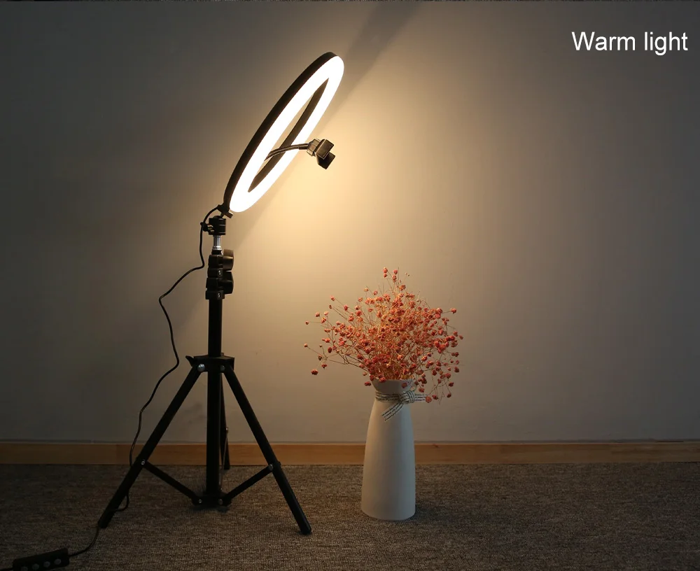 12inch led ring light (7)