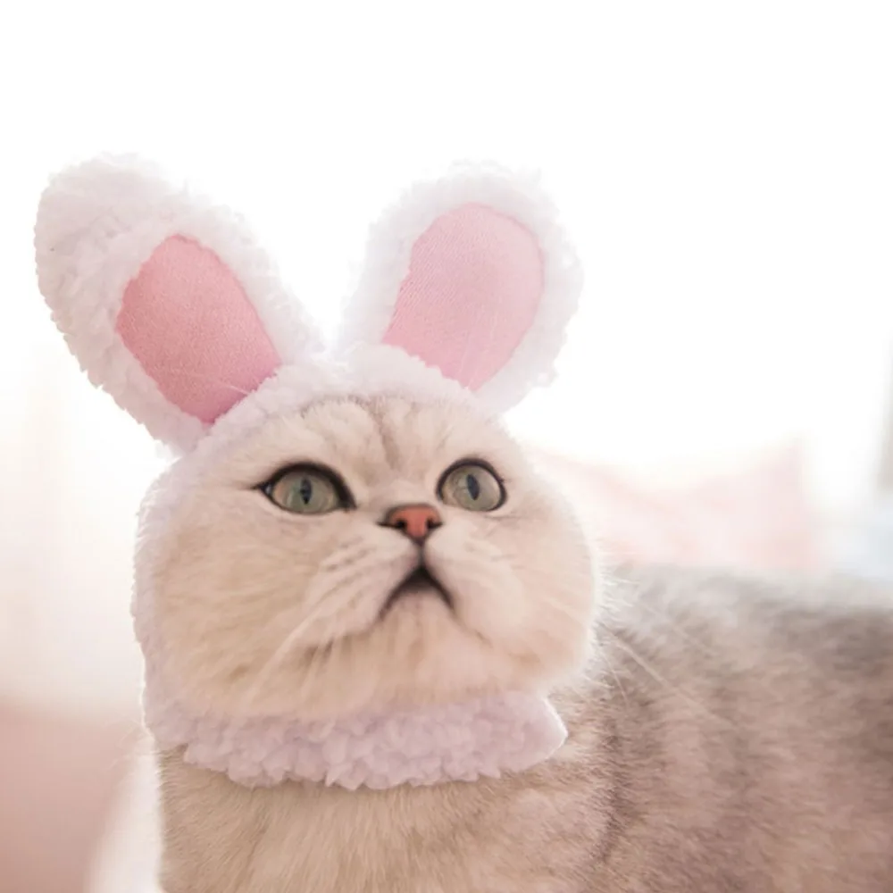 307640_no-logo_307640-1-07-g