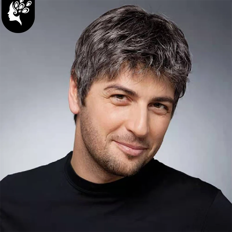 YOUR BEAUTY Short Straight Natural Wig Ombre Grey Brown Synthetic Wig for Male Hair Fleeciness Realistic Natural Headgear