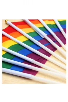 

New 12pcs Gay Pride Lesbian Peace LGBT Rainbow Flag Banner Festival Carnival
