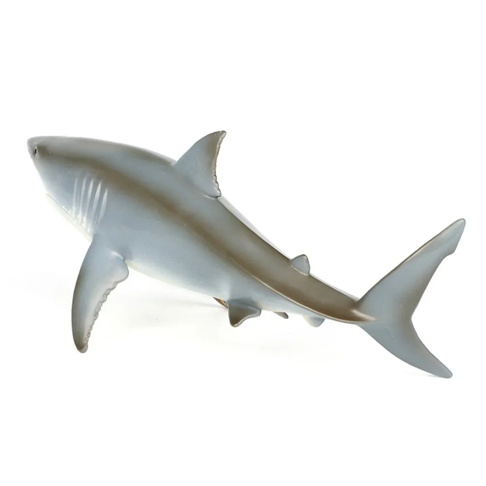 WY846700-C-20082504-1