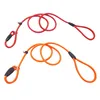 Pet Products