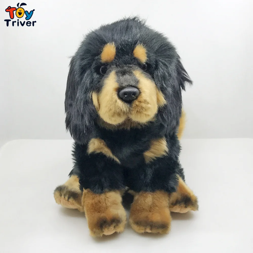 28cm Tibetan Mastiff