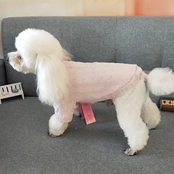 

Thin Cotton Pattern Teddy Two-Legged Clothes Korean Cat and Dog Sweater
