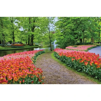 

Spring Forest Park Flower Nature Scenery Baby Portrait Birthday Party Backdrop Photography Background For Photo Studio Vinyl