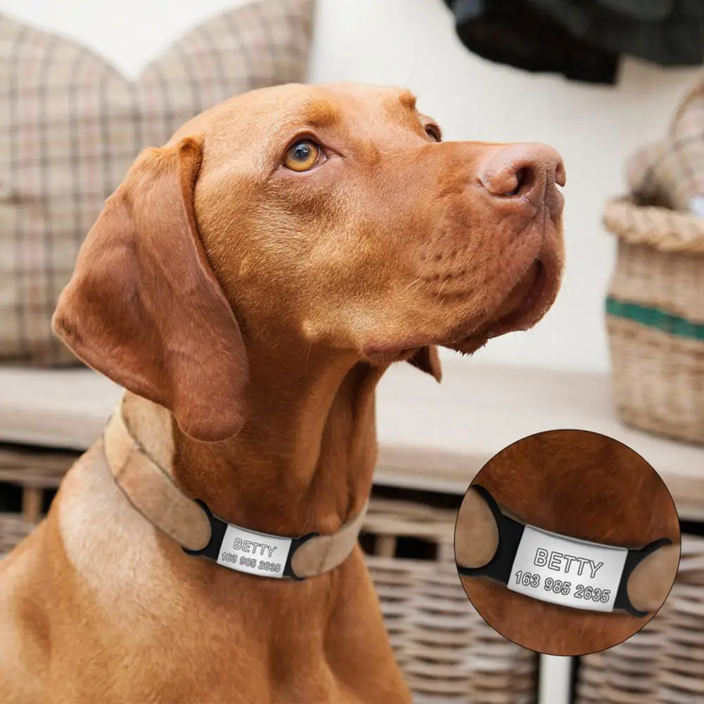 

Medium Dog Pet Tag Engravable Rust-proof Slide-on Dog Metal ID Tag Medium Dog Metal ID Tag Small Large Dog Collar Tag