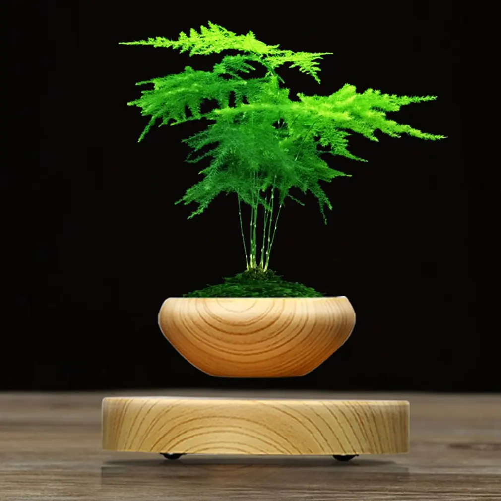 

Magnetic Levitation Air Bonsai Suspension Levitating Flower Pot Plant Led Living Room Desktop Decoration