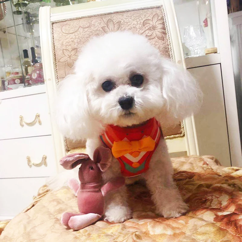 å¾<ALIMT >&reg;</ALIMT>ä¿¡å¾ç_2019061311242410 (1)