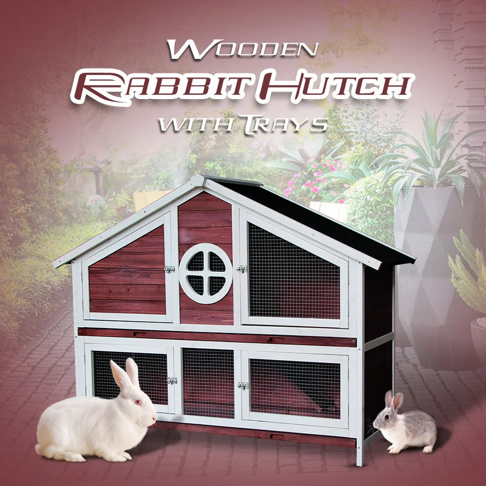 rabbit hutch with removable tray