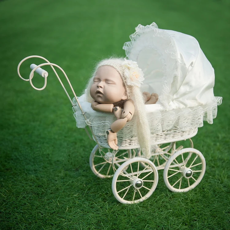 Newborn Photography Trolley Car Props Baby Girl Photo Shoot Posing Studio Cradle Basket Props Infant bebe fotografia Accessories