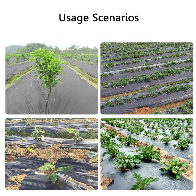 Heman 25 Méter Mezőgazdaság Gyomlálása Fekete Talajtakaró 0,8 M Szélessége Vastag 0,01 Mm -Es Zöldség Üvegházhatású Eper Műanyag Fóliák Nő - Image 5