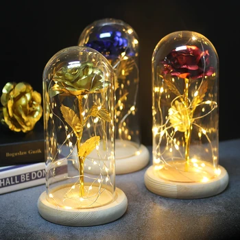 

2019 Night Light In New Products Rose In Glass Dome Rose Artificial Dried Flowers Beauty And The Beast Valentines Day Gift