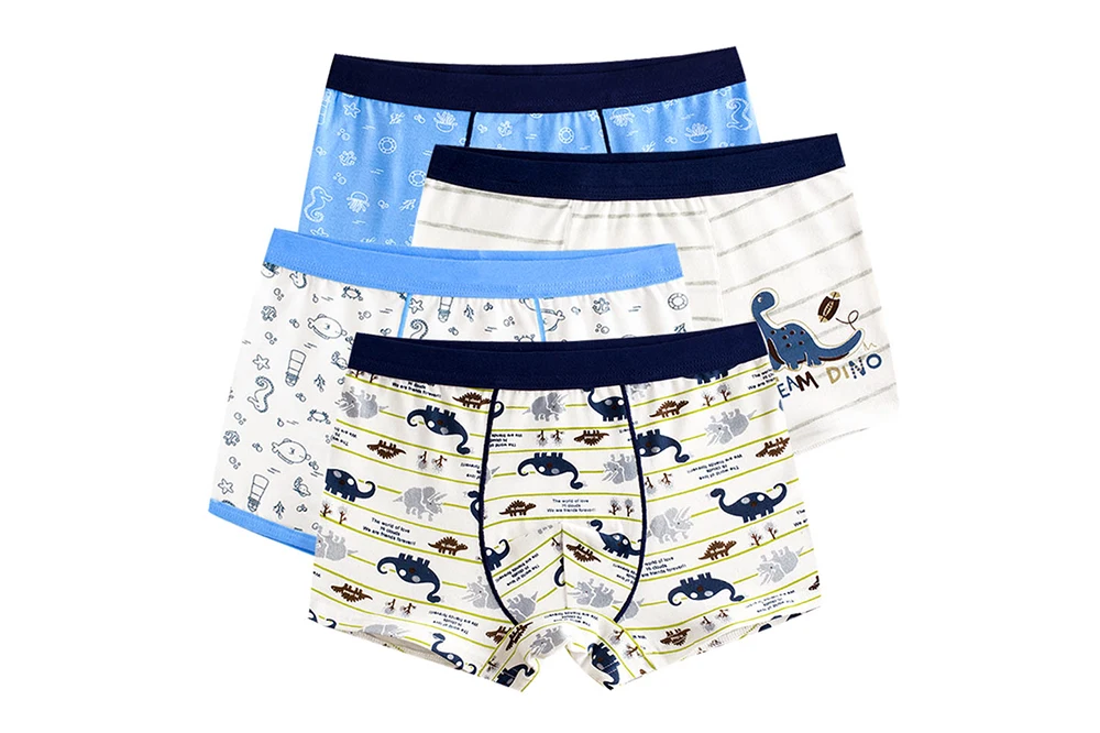 Boy Boxers (6)