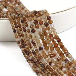 Natural Blue Sandstone Faceted Mineral Beads for DIY Jewelry and Gifts, 15'' Strand (Brown agate)