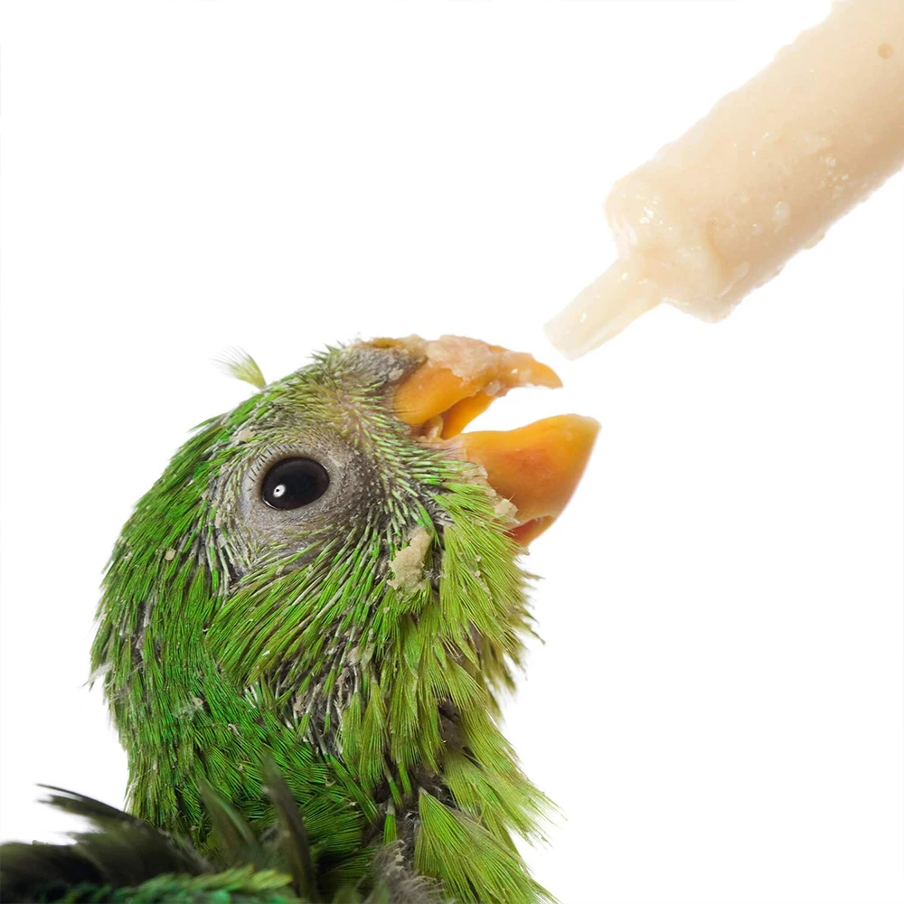 微信图片_20200604163145