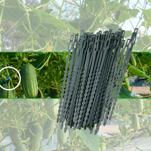 50Db/ Táska 13,5 Cm/ 17 Cm Műanyag Növényi Kábelkötegek Újrahasznosítható Üvegházhatást Okozó Készletek Kerti Fa Hegymászó Tartóhoz - Image 5