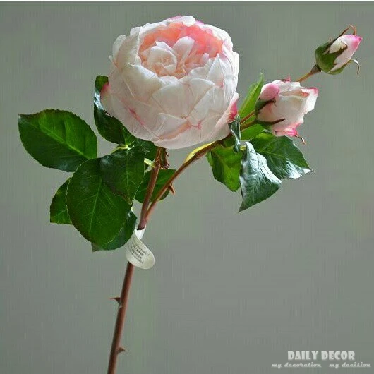 12pcs /lot! 3 heads high quality English roses fake decorative rose flowers wedding artificial flower wholesale - Цвет: pink roses