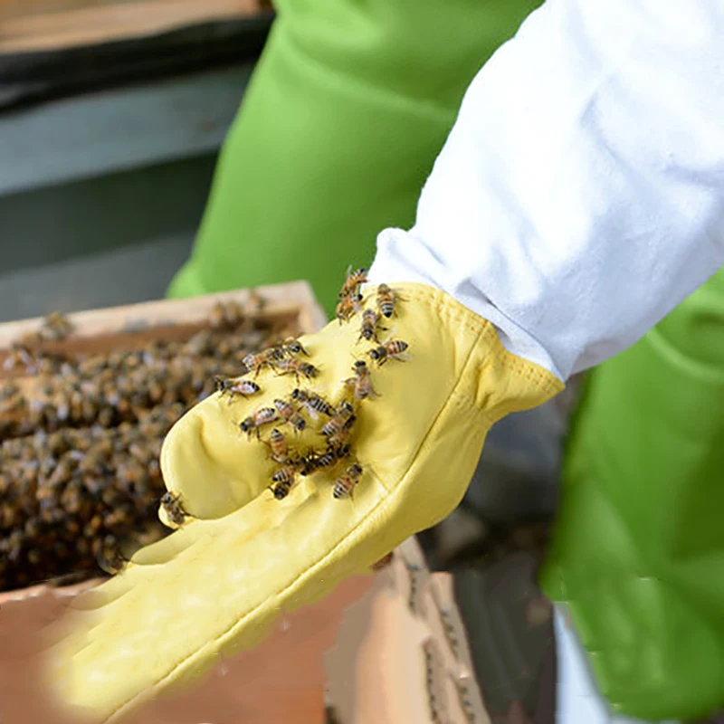 1 пара защитные перчатки для пчеловодства сетчатая козья пчелиная Кожа Вентилируемые с длинными рукавами инструменты для пчеловодства